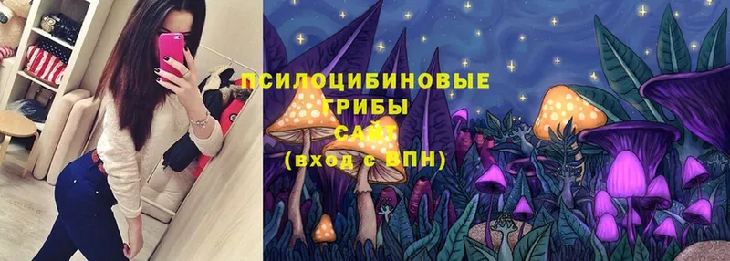 Псилоцибиновые грибы Magic Shrooms  наркота  Рыбинск 